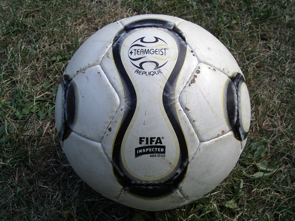 Fremde blaue Federn?